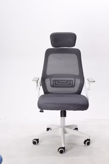 Sihoo Height Adjustable Armrest High Back Mesh Lift Executive Fabric Office Ergonomic Chair with Footrest