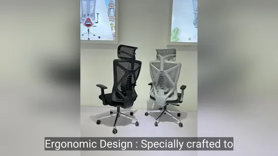 Sihoo Height Adjustable Armrest High Back Mesh Lift Executive Fabric Office Ergonomic Chair with Footrest